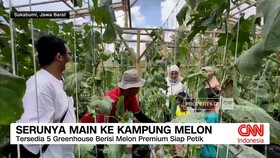 VIDEO: Ke Alam Terbuka, Liburan Sekolah Jadi Lebih Edukatif