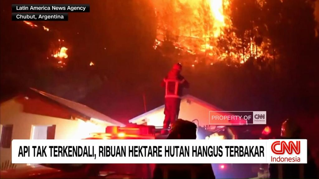 VIDEO: Api Tak Terkendali, Ribuan Hektare Hutan Patagonia Terbakar