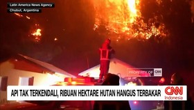 VIDEO: Api Tak Terkendali, Ribuan Hektare Hutan Patagonia Terbakar