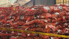 Mentan Amran Amankan 133,5 Ton Bawang Ilegal
