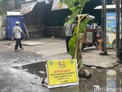Jalan Rusak gegara Banjir di Tambak Sumur Sidoarjo Ditanami Pisang
