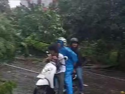 Pohon Tumbang Tutup Jalan Perintis Kemerdekaan Makassar, Lalu Lintas Macet