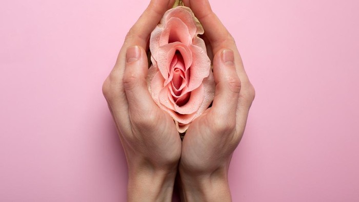 Nggak Ribet! Ini 6 Superfood untuk Dukung Kesehatan Organ Intim