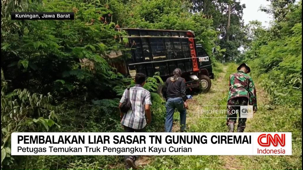 VIDEO: Pembalakan Liar Ancam Kelestarian Lingkungan