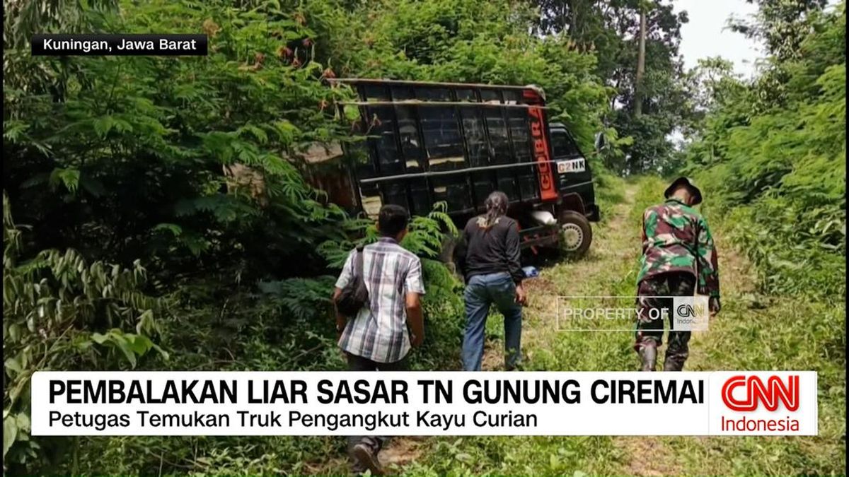 VIDEO: Pembalakan Liar Ancam Kelestarian Lingkungan