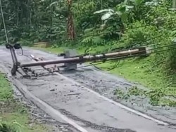 Dua Tiang Listrik Tumbang Tutup Jalur Cianjur-Sindangbarang, Listrik Padam