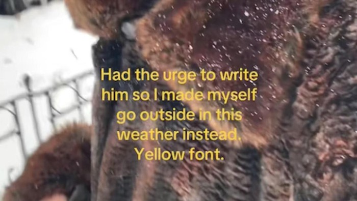 Arti Yellow Font Theory yang lagi viral di TikTok adalah cara bagi seseorang untuk membagikan pemikiran mendalam hingga kerentanan emosional secara jujur yang mungkin selama ini disimpan sendiri.