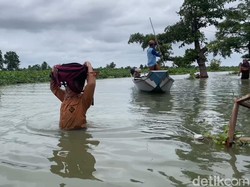 Hampir 2 Bulan Banjir Bengawan Jero Lamongan Belum Surut