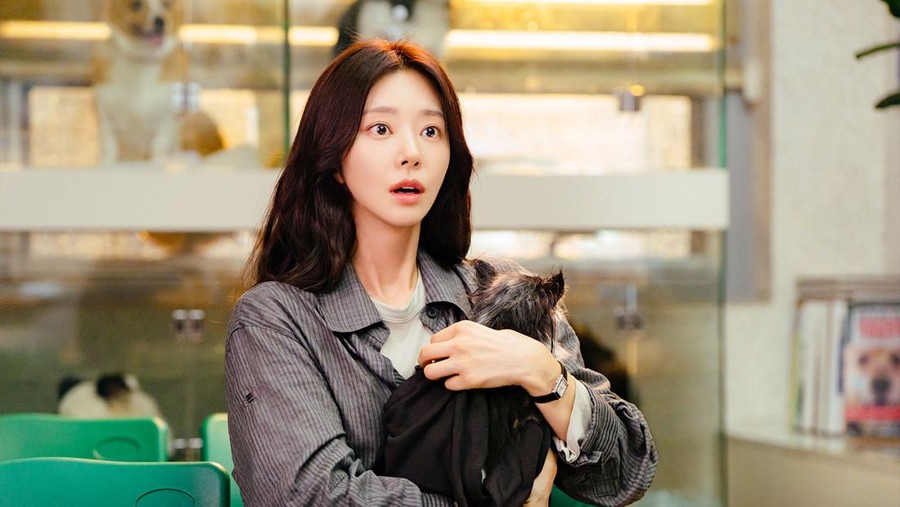 Adegan dalam drama Korea Spring Fever&period;