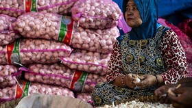 7 Komoditas Pangan yang Indonesia Ingin Swasembada