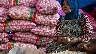 7 Komoditas Pangan yang Indonesia Ingin Swasembada