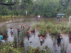 11 Budaya Belitung yang Wajib Diketahui, dari Tradisi hingga Kesenian