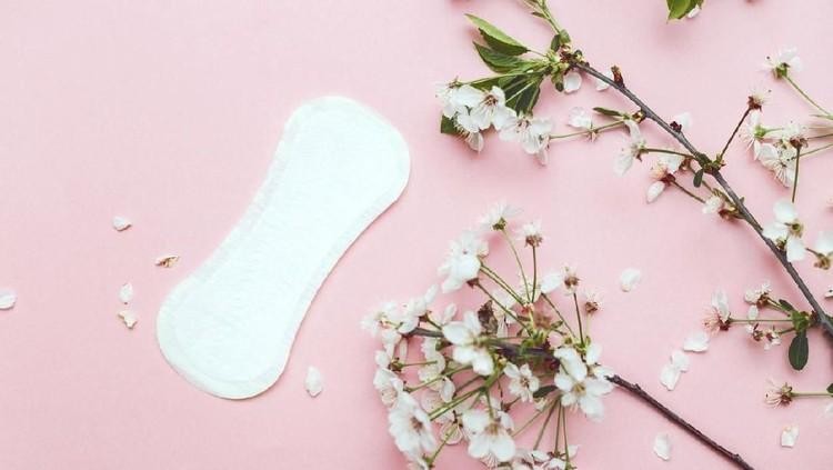 Inovasi baru para ilmuan temukan pembalut haid yang mampu deteksi penyakit&period; Penasaran seperti apa dan bagaimana cara kerjanya&quest; Simak yuk Bunda&period;