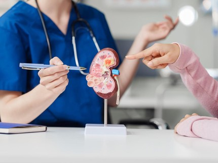 5 Kebiasaan Harian Ini Merusak Ginjal Perempuan setelah Usia 30 Tahun