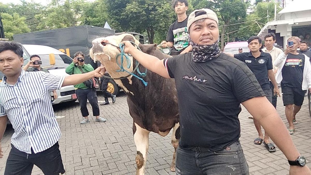 Jagal Sapi di Surabaya Kembali Demo, Mogok Kerja Tolak Relokasi RPH