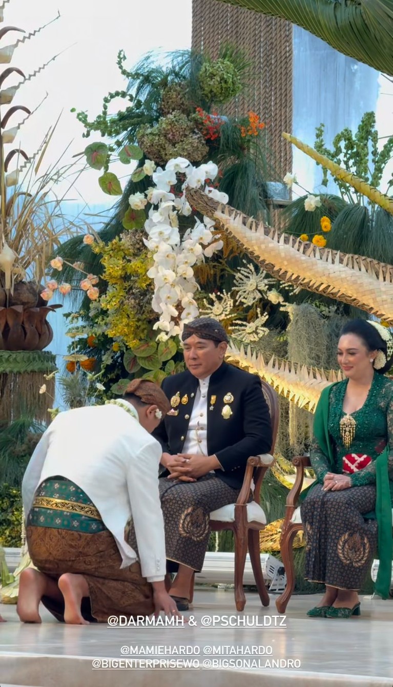 Pernikahan Darma Mangkuluhur dan Patricia Schuldtz