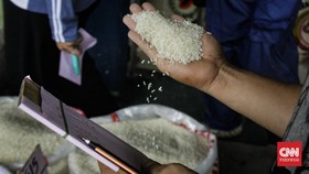 BPS Catat Kenaikan Harga Beras Premium Jadi Rp14.317 Februari 2026