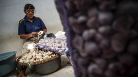 FOTO: 95 Persen Impor, Bawang Putih Masuk Peta Jalan Swasembada 2029