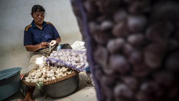 FOTO: 95 Persen Impor, Bawang Putih Masuk Peta Jalan Swasembada 2029