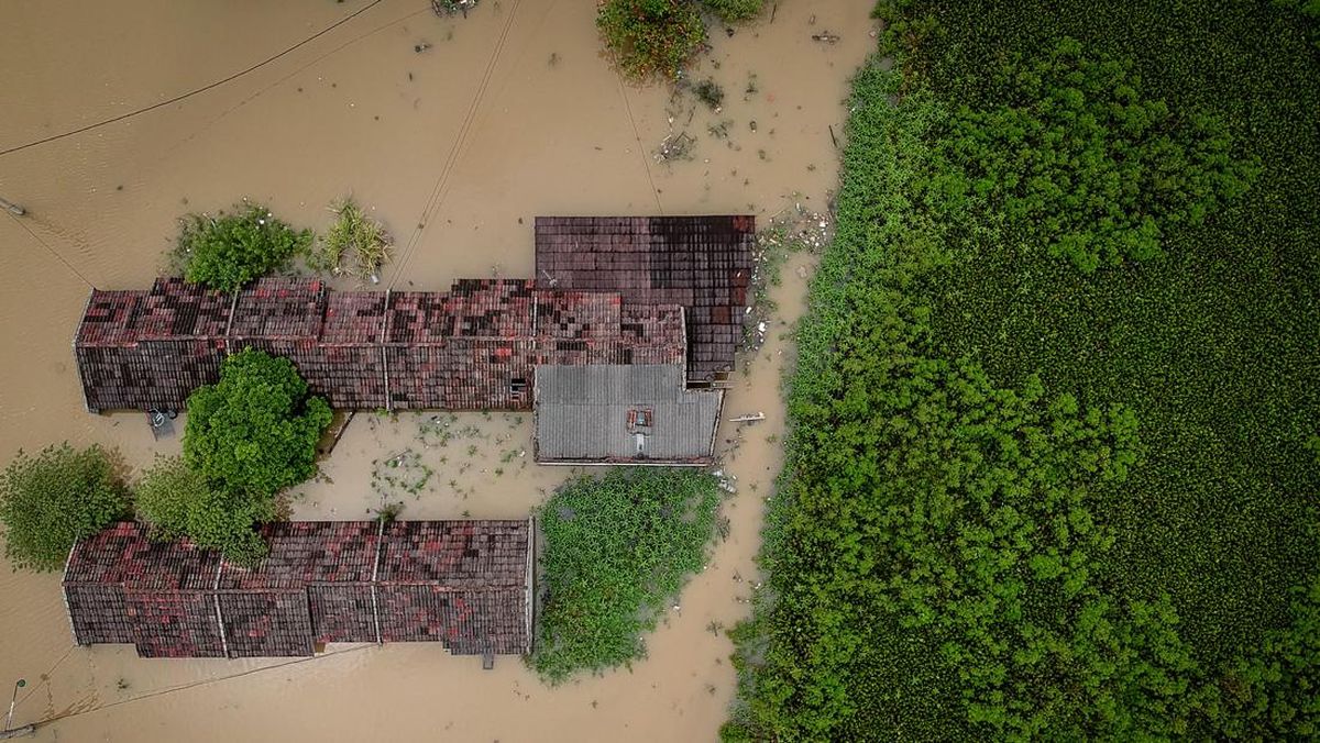 Remaja Ditemukan Tewas di Kali Cilincing, Diduga Terseret Arus Banjir