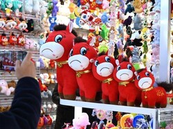 Viral Boneka Kuda China Salah Jahit Malah Jadi...