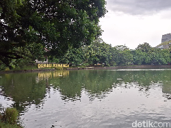 Danau Kenanga UI, Spot Bengong Pagi dan Sore Hari
