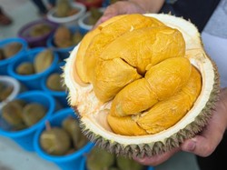 Bikin China Kesemsem, Durian Musang King Disetarakan dengan Tas Hermes