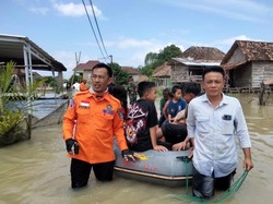 7.176 KK Terdampak Banjir OKI, 4.860 Hektare Sawah Terendam