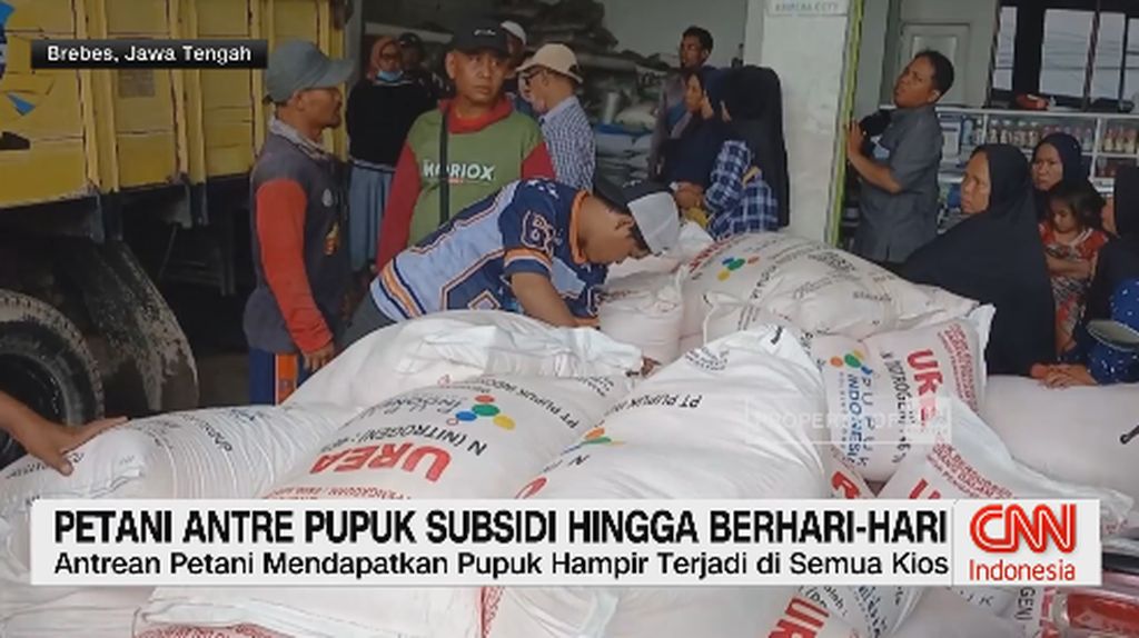 VIDEO: Petani Antre Pupuk Subsidi Hingga Berhari-hari