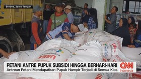 VIDEO: Petani Antre Pupuk Subsidi Hingga Berhari-hari