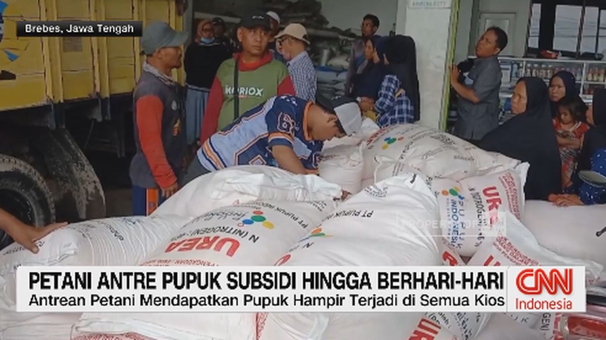 VIDEO: Petani Antre Pupuk Subsidi Hingga Berhari-hari