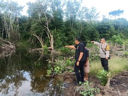 Petani di Musi Rawas Kritis Usai Diserang Buaya