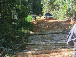Warga Krayan Swadaya Perbaiki Jalan Pakai Kayu karena Lebih Tahan Lama