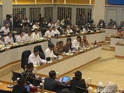 107 Ribu Hektare Sawah Rusak Akibat Bencana Sumatera, 820 Ribu Ternak Mati