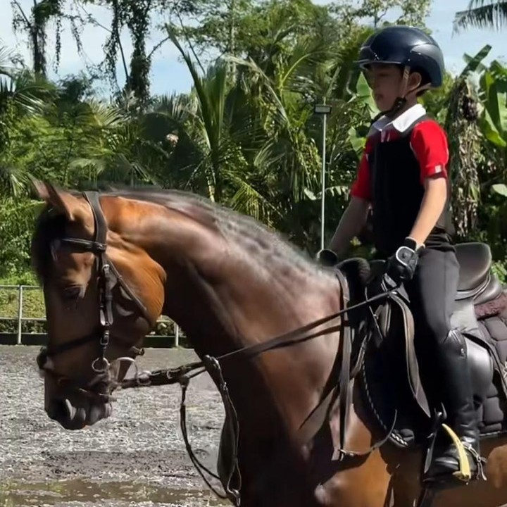 <p>Mendapat <em>support</em> penuh dari sang Ayah,&nbsp;Irfan Hakim ingin anak-anaknya bisa mengasah bakat berkudanya sejak kecil. Seperti baru-baru ini, Irfan terlihat sedang&nbsp;mencari kuda baru untuk Djalu, Bunda. "Akhir Tahun 2024 ke Awal Tahun 2025 kemarin Anak-anak Hunting Kuda ke Belanda, sekarang Awal tahun 2026 Hunting Kuda buat Djalu ke Jogja. Setelah di coba akhirnya ada Kuda yang Cocok buat Djalu, kira-kira akhirnya kita ambil Kuda yang mana yaa???" ungkap Irfan Hakim, menilik dari akun Instagram <em>@irfanhakim75</em>. (Foto: Instagram @irfanhakim75)</p>