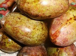 Mangga Kasturi Endemik Kalimantan Belum Benar-benar Punah