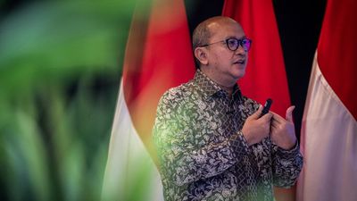 Bos Danantara soal Target Jadi 300 BUMN 2030: 3 Bulan Tutup 100 BUMN