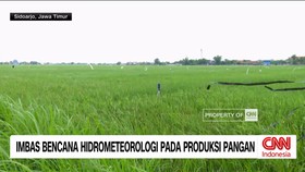 VIDEO: Imbas Bencana Hidrometeorologi Pada Produksi Pangan