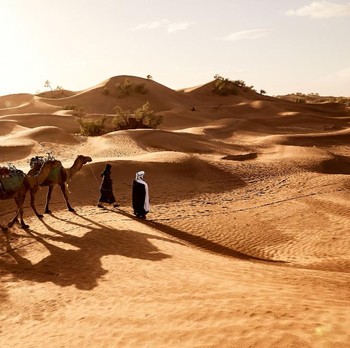 Kisah dan Fakta Sejarah Isra Mikraj Nabi Muhammad saw.