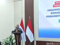 Akui Program Biomassa Belum Optimal, ESDM Ungkap Tantangannya