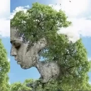 Tes Kepribadian: Gambar Pertama yang Dilihat Ungkap Apakah Kamu Terlalu Baik atau Suka Kritik Diri Sendiri