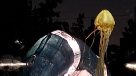 Paus dan Pulau dari Plastik Daur Ulang di Parade Lingkungan Chili