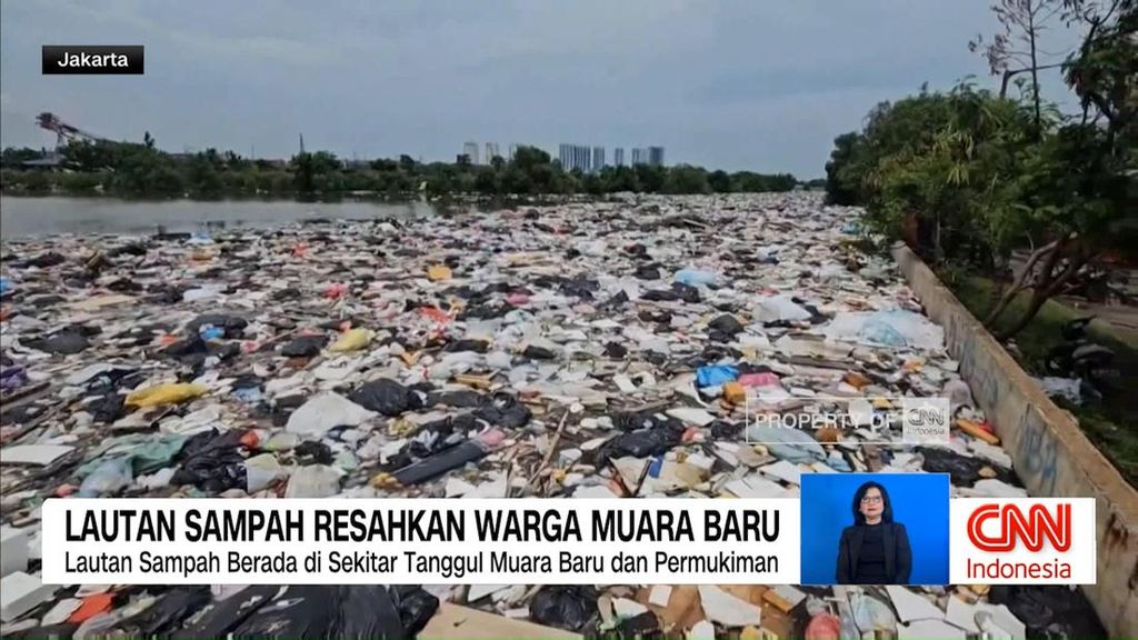 VIDEO: Lautan Sampah hingga Kemunculan Buaya di Muara Baru, Jakarta