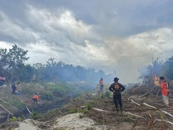 Pemadaman Karhutla Teluk Sampit Terkendala, Air Minim-Tak Ada Jalan Darat