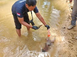 Polres Langkat Tangkap Pelaku Pembuang Bayi di Parit Kebun Sawit