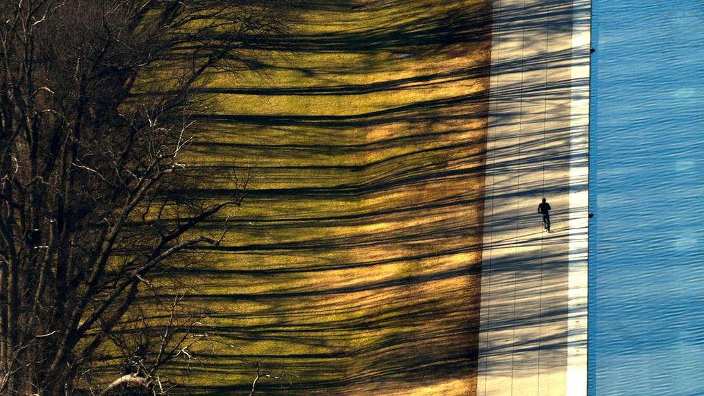 NYALANG: Seribu Bayangan, Teduh Harapan