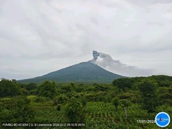 Air dan Pakan Ternak Warga Terpapar Abu Vulkanik Gunung Ile Lewotolok