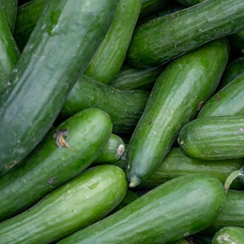 Paling Sering Dibuang, Ternyata Ini 7 Manfaat Kulit Mentimun untuk Tubuh