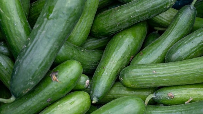 Paling Sering Dibuang, Ternyata Ini 7 Manfaat Kulit Mentimun untuk Tubuh