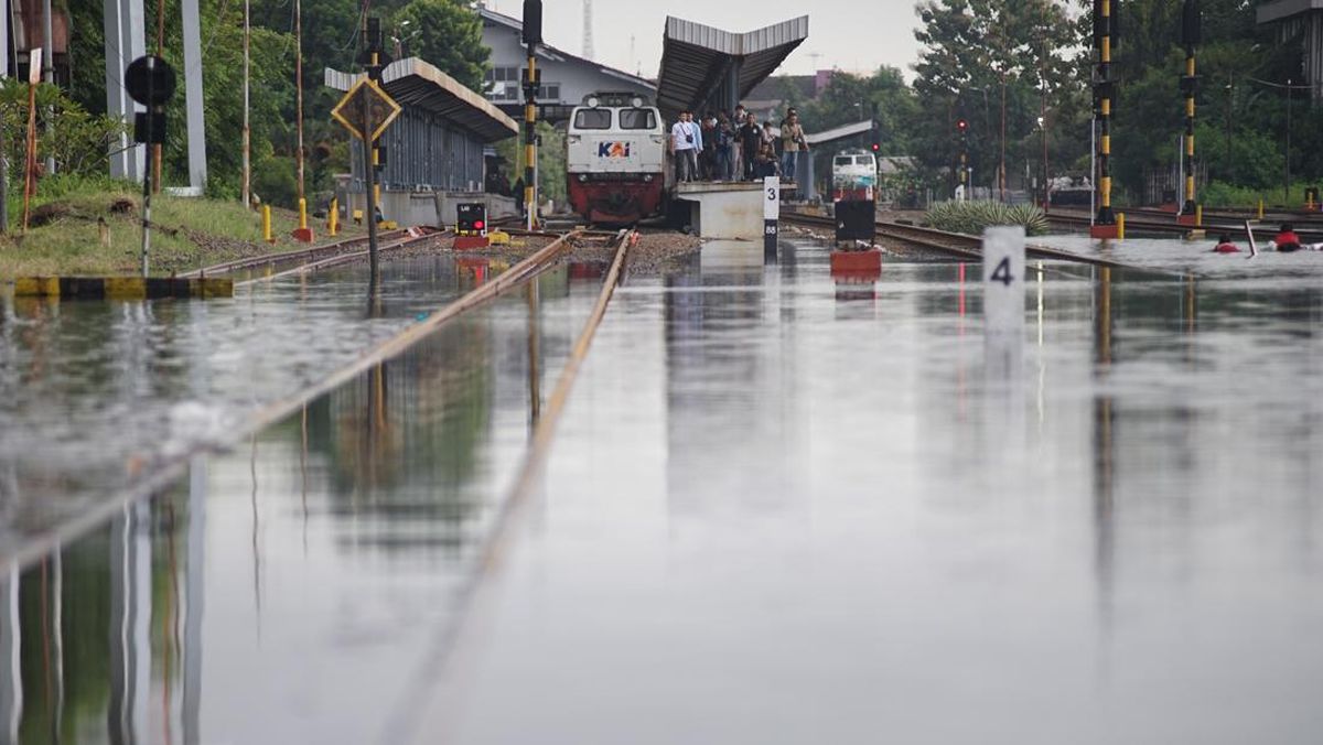 Warga Pekalongan Mengungsi Usai Banjir Makin Parah: Sampai Leher